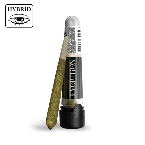 Biscotti 1g PreRoll - Evolution